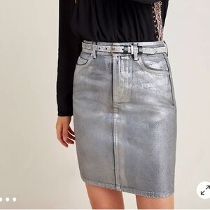 Anthropologie Silver Mini Skirt